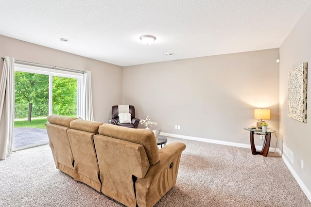 18482 Aubrie Ct, Eden Prairie, MN 55347 - living room with light colored carpet and a textured ceiling