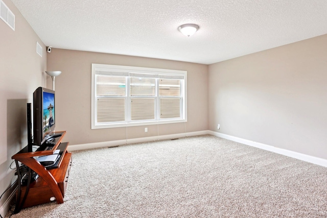 18482 Aubrie Ct, Eden Prairie, MN 55347 - unfurnished living room featuring carpet flooring and a textured ceiling