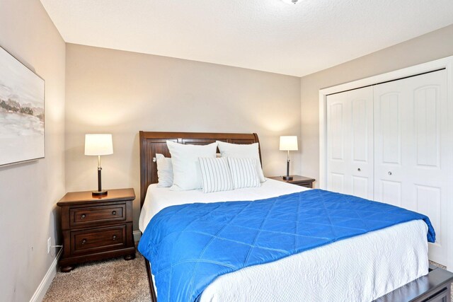 18482 Aubrie Ct, Eden Prairie, MN 55347 - bedroom with carpet floors and a closet