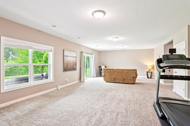 18482 Aubrie Ct, Eden Prairie, MN 55347 - workout room with carpet flooring and a textured ceiling
