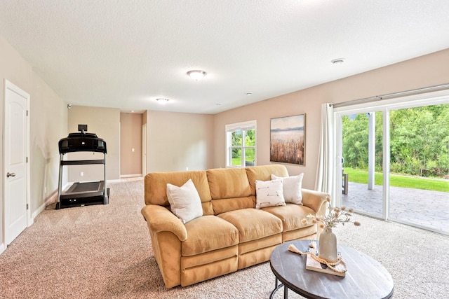18482 Aubrie Ct, Eden Prairie, MN 55347 - living room featuring carpet and a textured ceiling