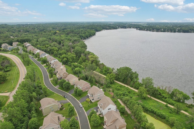 18482 Aubrie Ct, Eden Prairie, MN 55347 - aerial view of residential area with a large body of water and a forest