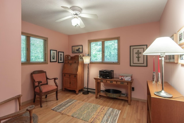 27488 Ridgewood Dr, Merrifield, MN 56465 - office with light wood-style flooring, ceiling fan, and baseboards