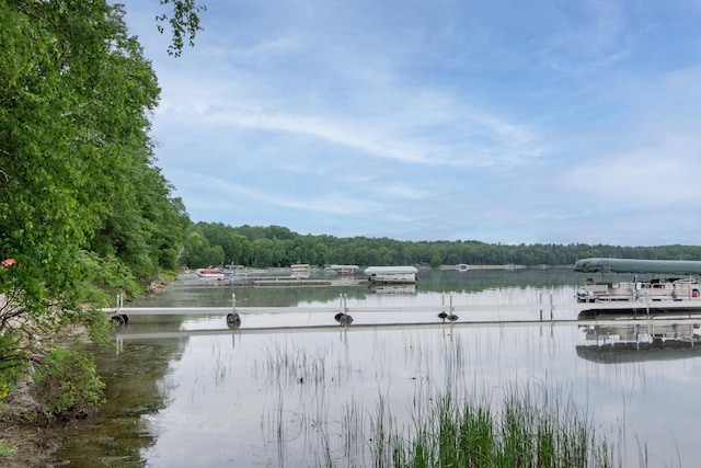 27488 Ridgewood Dr, Merrifield, MN 56465 - dock area with a water view and a view of trees