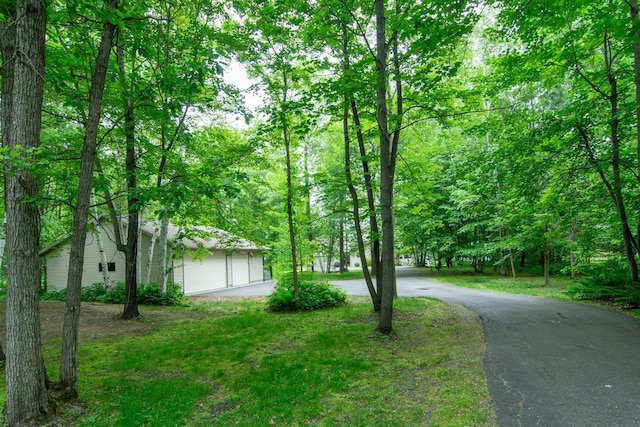 27488 Ridgewood Dr, Merrifield, MN 56465 - view of yard featuring asphalt driveway and a garage