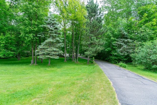 27488 Ridgewood Dr, Merrifield, MN 56465 - view of road