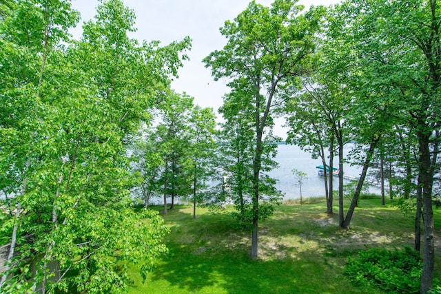 27488 Ridgewood Dr, Merrifield, MN 56465 - view of undeveloped land featuring a large body of water