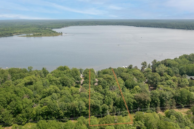 27488 Ridgewood Dr, Merrifield, MN 56465 - bird's eye view of a heavily wooded area and a nearby body of water