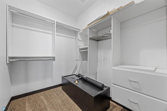 3004 6th St E, West Fargo, ND 58078 - view of walk in closet