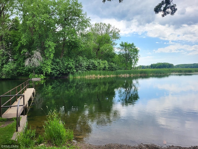 318 Alder Rd, Lynden Twp, MN 55382 - water view with a heavily wooded area