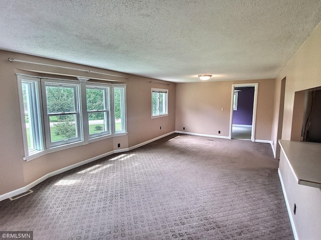 318 Alder Rd, Lynden Twp, MN 55382 - spare room featuring carpet and a textured ceiling