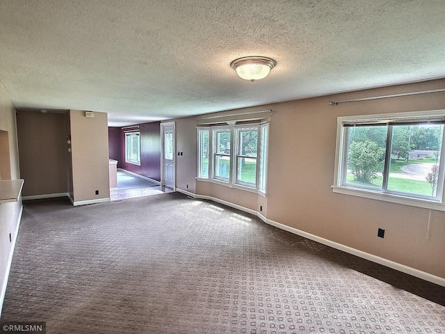 318 Alder Rd, Lynden Twp, MN 55382 - spare room with carpet flooring and a textured ceiling
