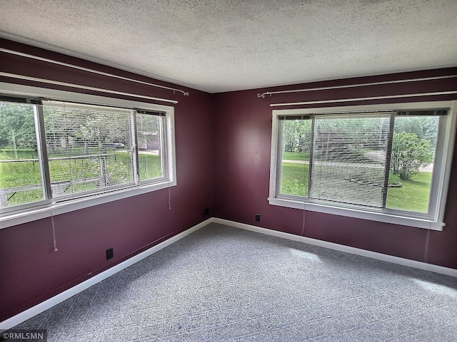 318 Alder Rd, Lynden Twp, MN 55382 - empty room with a textured ceiling, plenty of natural light, and carpet floors