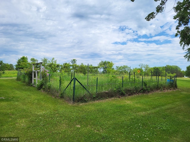 318 Alder Rd, Lynden Twp, MN 55382 - view of yard