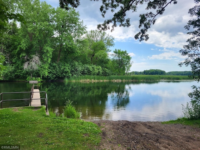 318 Alder Rd, Lynden Twp, MN 55382 - water view with a heavily wooded area