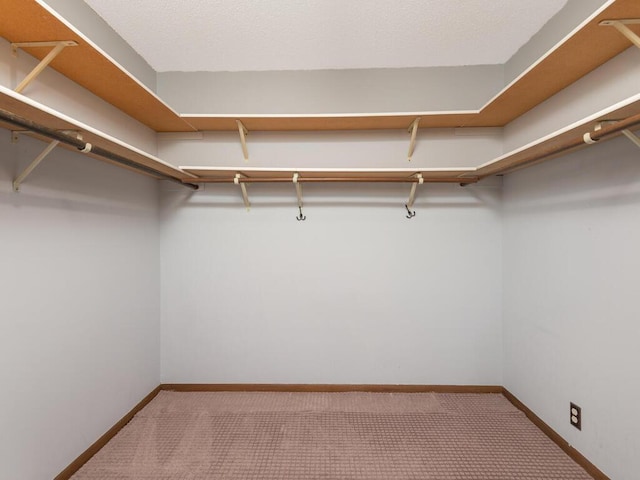2200 Nevada Ave S Unit 206, Saint Louis Park, MN 55426 - walk in closet featuring carpet