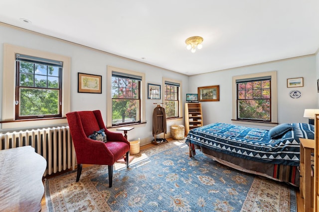 1913 River Pkwy, Minneapolis, MN 55414 - bedroom with radiator heating unit and wood finished floors
