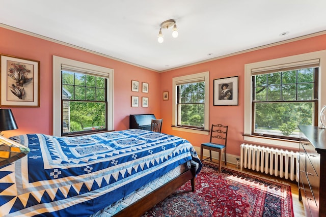 1913 River Pkwy, Minneapolis, MN 55414 - bedroom with radiator heating unit, multiple windows, ornamental molding, and wood finished floors
