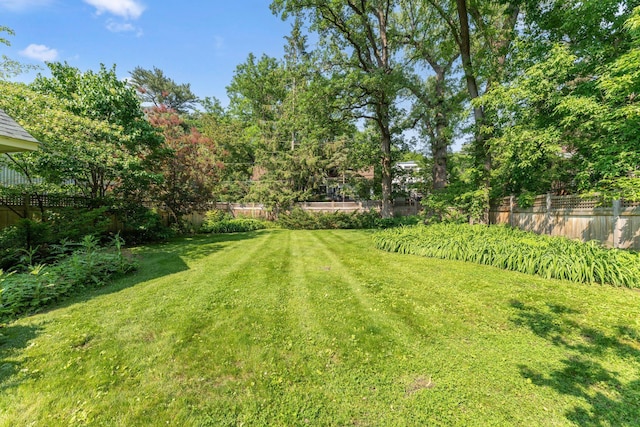 1913 River Pkwy, Minneapolis, MN 55414 - view of fenced yard