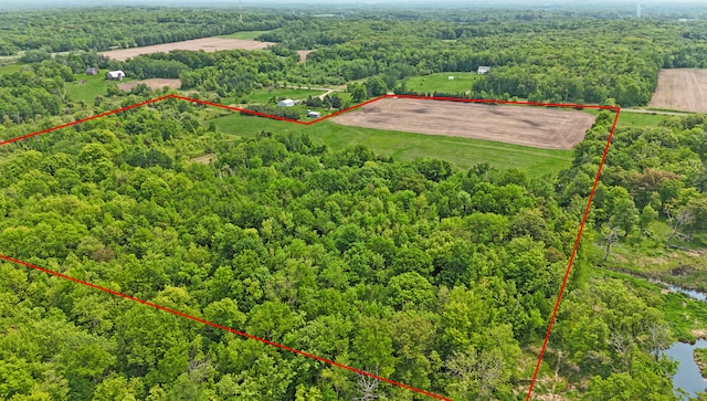 1029.1 290th Ave, Bone Lake Twp, WI 54837
