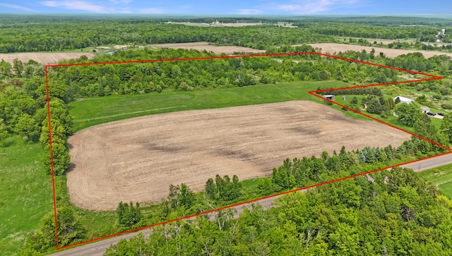 1029.1 290th Ave, Bone Lake Twp, WI 54837