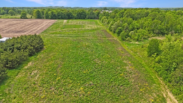 1029.1 290th Ave, Bone Lake Twp, WI 54837