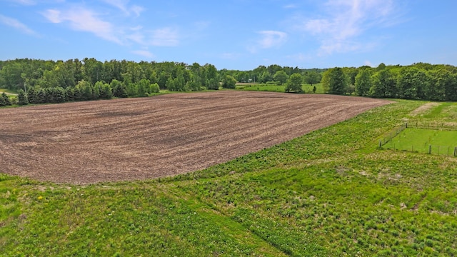 1029.1 290th Ave, Bone Lake Twp, WI 54837