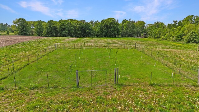 1029.1 290th Ave, Bone Lake Twp, WI 54837