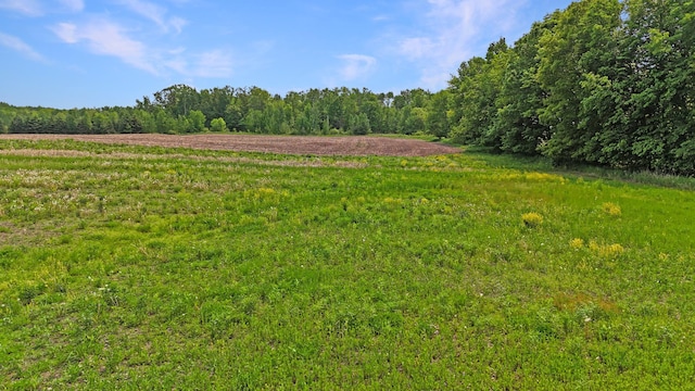 1029.1 290th Ave, Bone Lake Twp, WI 54837