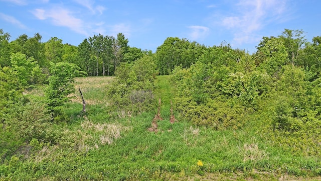 1029.1 290th Ave, Bone Lake Twp, WI 54837