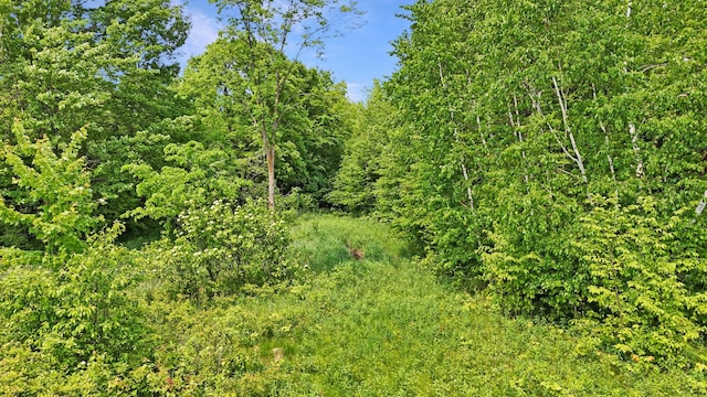1029.1 290th Ave, Bone Lake Twp, WI 54837