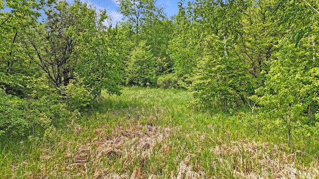 1029.1 290th Ave, Bone Lake Twp, WI 54837