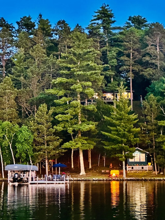 12332 Manhattan Point Blvd, Crosslake, MN 56442 - water view featuring a heavily wooded area