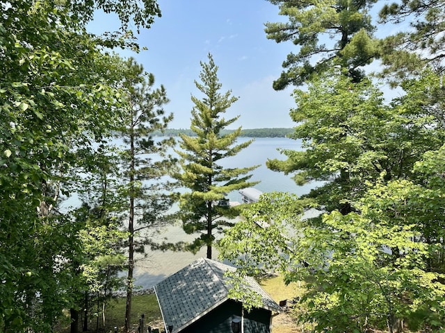 12332 Manhattan Point Blvd, Crosslake, MN 56442 - water view