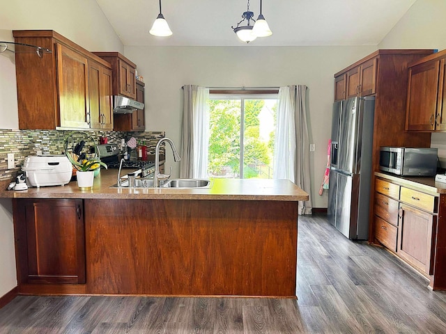 12383 Midway Cir NE, Blaine, MN 55449 - kitchen with stainless steel appliances, a peninsula, dark wood-style flooring, under cabinet range hood, and lofted ceiling
