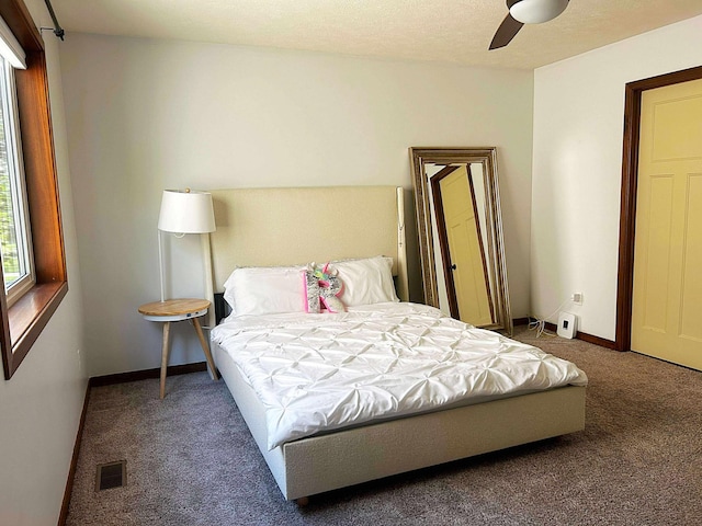 12383 Midway Cir NE, Blaine, MN 55449 - bedroom with carpet flooring and ceiling fan