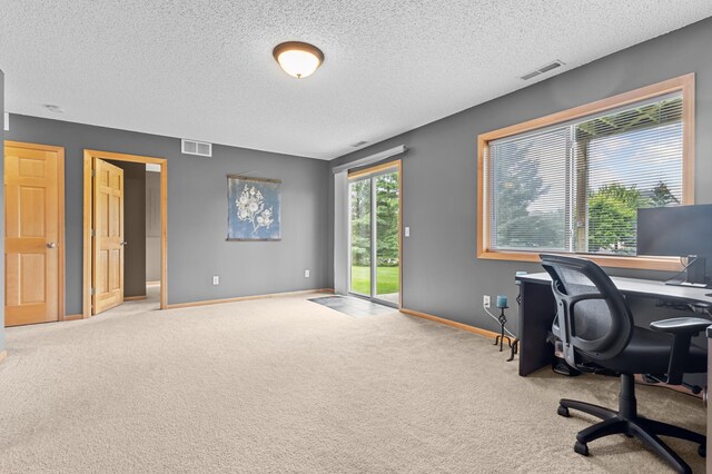 9720 Saint Andrews Dr, Elko New Market, MN 55020 - photo 21