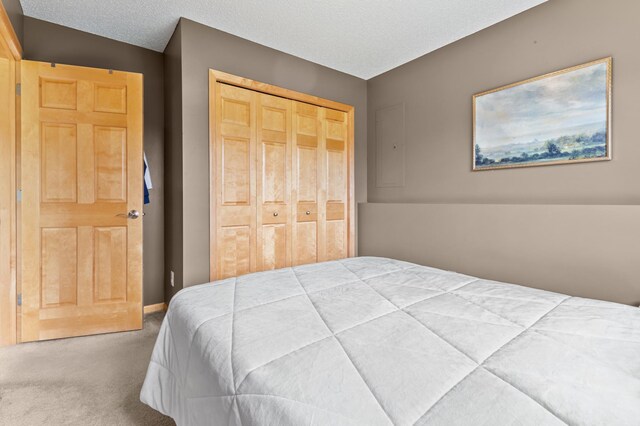 9720 Saint Andrews Dr, Elko New Market, MN 55020 - photo 23
