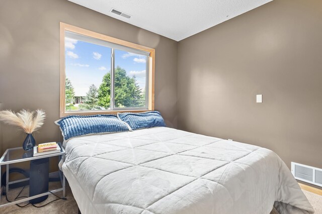 9720 Saint Andrews Dr, Elko New Market, MN 55020 - photo 24