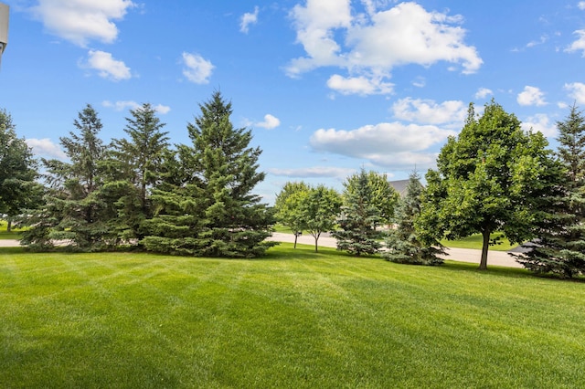 9720 Saint Andrews Dr, Elko New Market, MN 55020 - photo 29