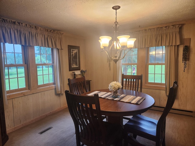 23064 Pearl Lake Rd, Lake View Twp, MN 56501 - dining area featuring baseboards, a chandelier, healthy amount of natural light, wooden walls, and a baseboard radiator