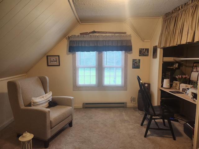 23064 Pearl Lake Rd, Lake View Twp, MN 56501 - carpeted home office with lofted ceiling, a baseboard heating unit, and a textured ceiling