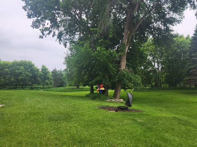 23064 Pearl Lake Rd, Lake View Twp, MN 56501 - view of grassy yard