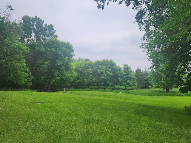 23064 Pearl Lake Rd, Lake View Twp, MN 56501 - view of grassy yard
