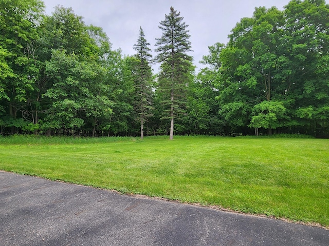 23064 Pearl Lake Rd, Lake View Twp, MN 56501 - view of green lawn featuring a wooded view