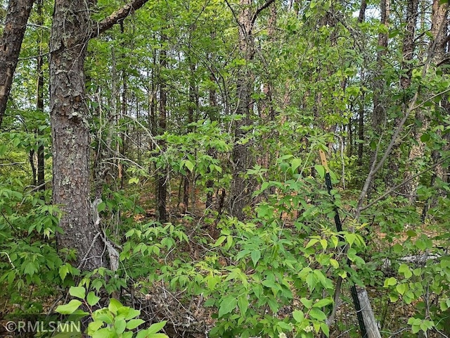 TBD 63rd Ave NW, Pike Bay Twp, MN 56633