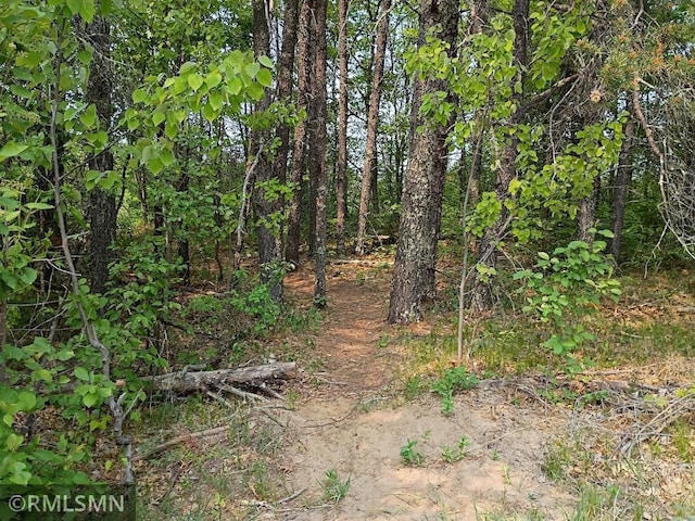 TBD 63rd Ave NW, Pike Bay Twp, MN 56633