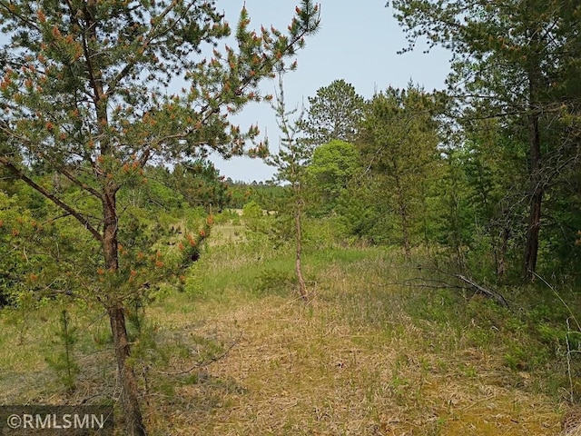 TBD 63rd Ave NW, Pike Bay Twp, MN 56633