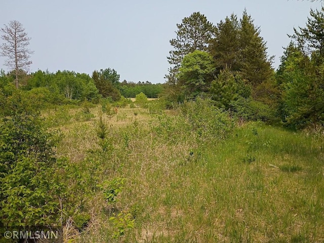 TBD 63rd Ave NW, Pike Bay Twp, MN 56633