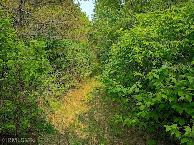 TBD 63rd Ave NW, Pike Bay Twp, MN 56633